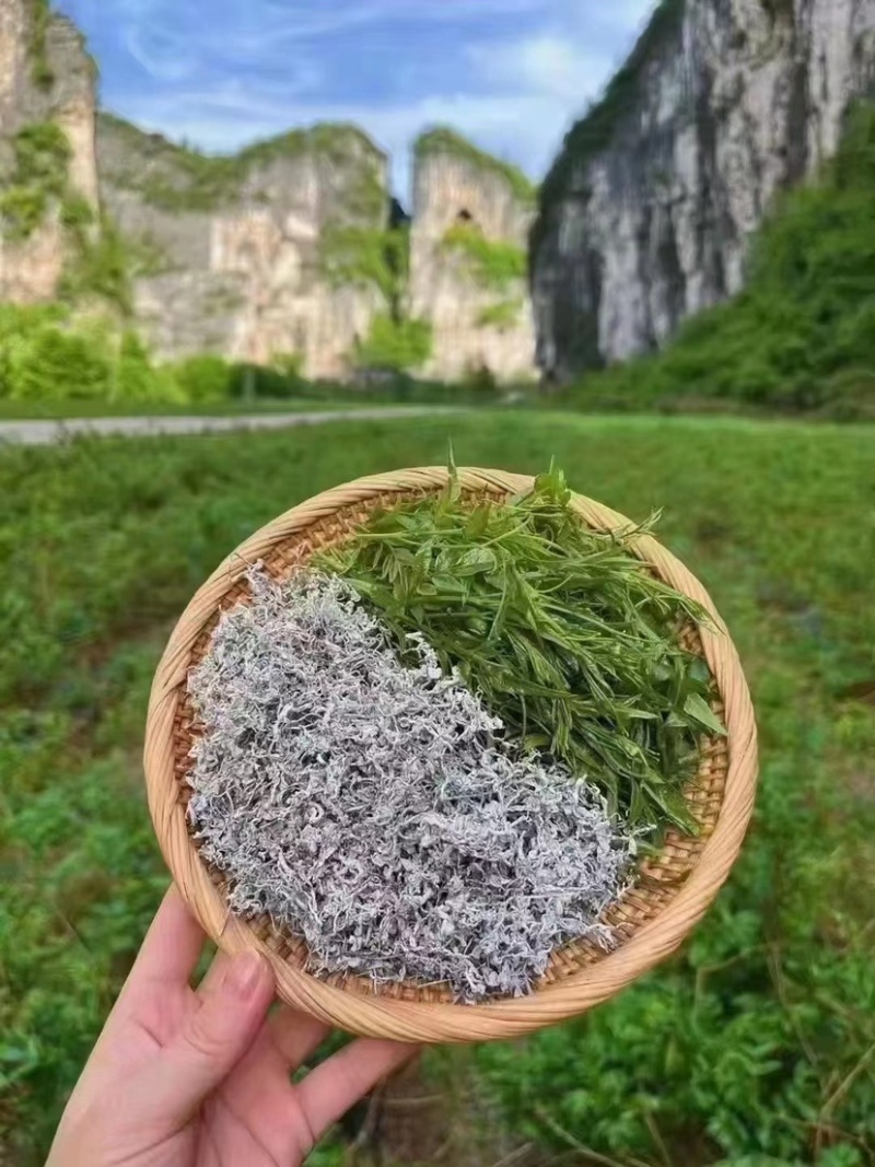 特级芽尖莓茶