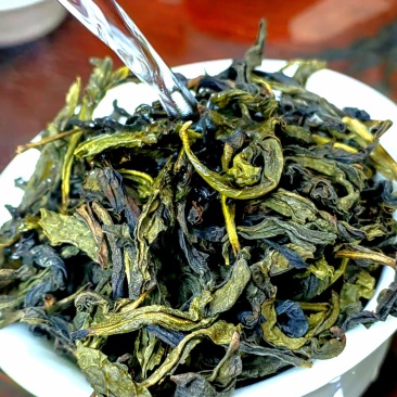 高山茶潮汕浓香型高山茶潮汕惠来土山茶大坪土山茶大坪高山茶