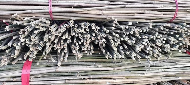 销售各种菜架竹，湖南桂阳，全国发货，价格实惠，欢迎采购