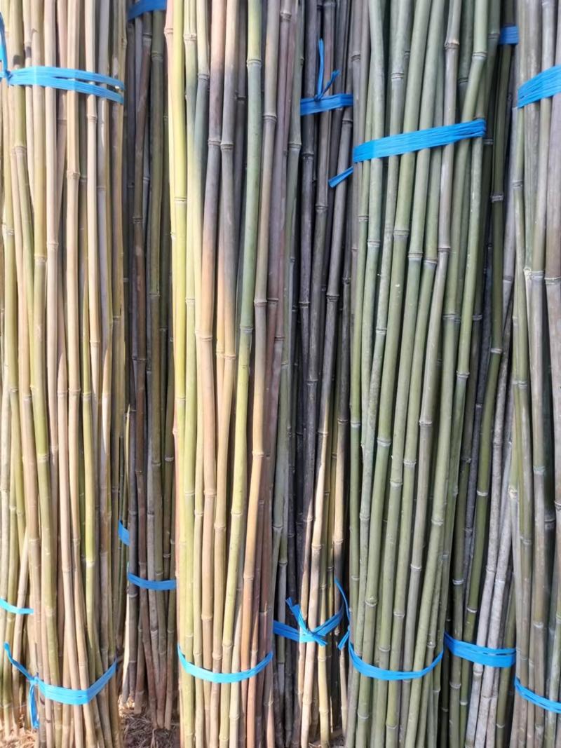 销售各种菜架竹，湖南桂阳，全国发货，价格实惠，欢迎采购