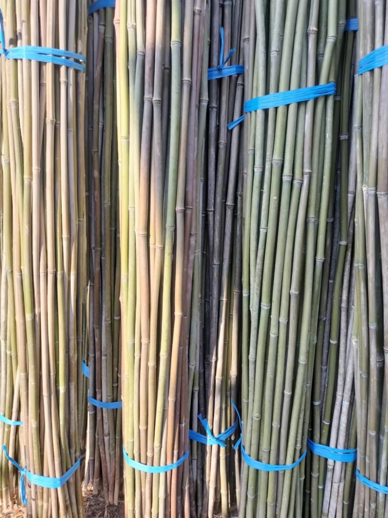 销售各种菜架竹，湖南桂阳，全国发货，价格实惠，欢迎采购