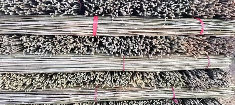 销售各种菜架竹，湖南桂阳，全国发货，价格实惠，欢迎采购