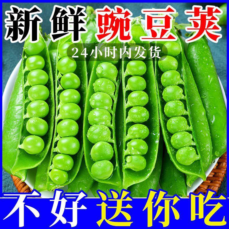 【现摘现发】云南豌豆新鲜蔬菜应季青豆素菜脆甜带壳生豌豆荚