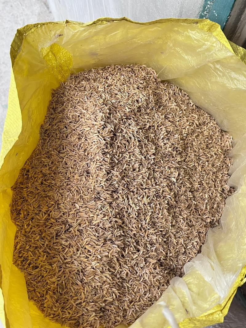 【包邮到乡镇】稻壳谷壳鸡垫料枕头填充饲养用批发好价包邮