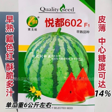 悦都602西瓜种子早熟皮薄瓤色红甜脆多汁西瓜种子不易裂果