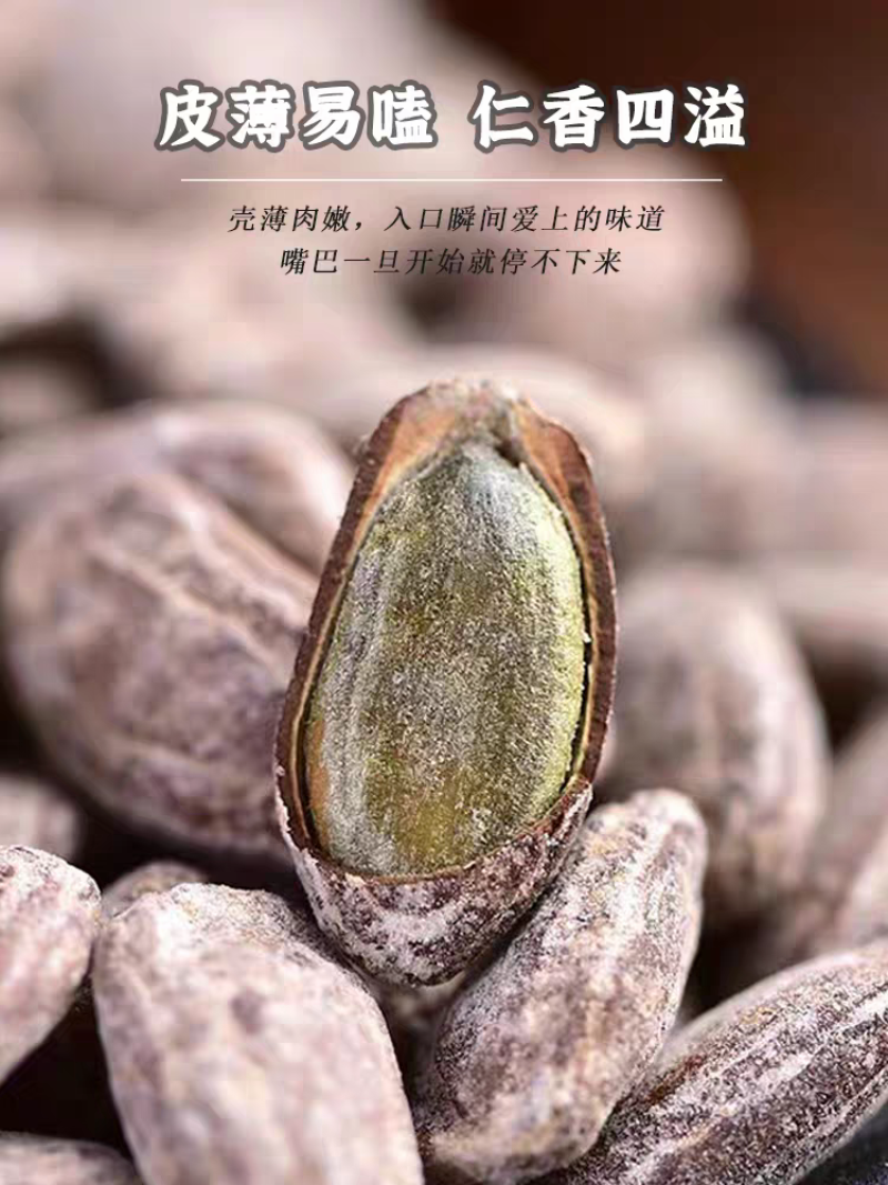 吊瓜子大颗粒新货现炒奶油味坚果炒货休闲零食支持电商代发
