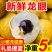 现摘水果新鲜龙眼应季采摘水果桂圆小核龙眼批发整箱包邮