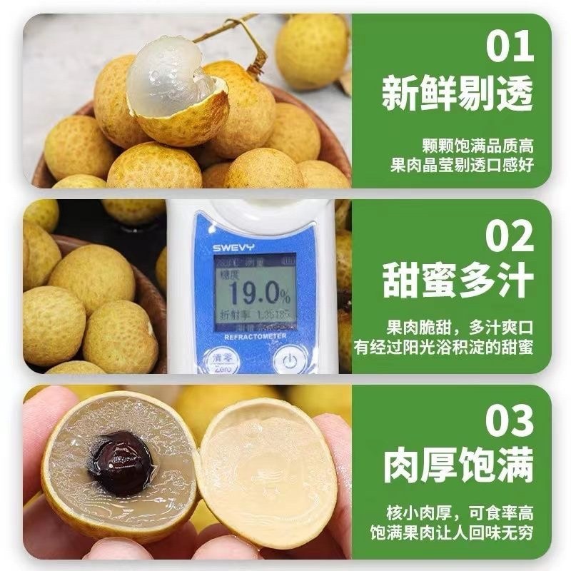 现摘水果新鲜龙眼应季采摘水果桂圆小核龙眼批发整箱包邮