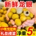 现摘水果新鲜龙眼应季采摘水果桂圆小核龙眼批发整箱包邮