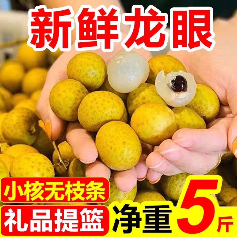 现摘水果新鲜龙眼应季采摘水果桂圆小核龙眼批发整箱包邮