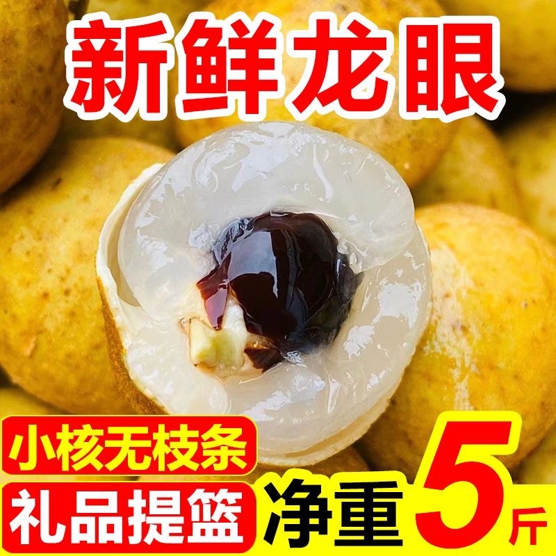 现摘水果新鲜龙眼应季采摘水果桂圆小核龙眼批发整箱包邮