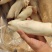 沈阳精品母猪蹄，前后混猪蹄，仓库直发，批发，保质保量价低