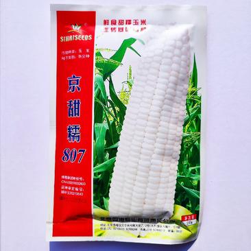 北京四海京甜糯807玉米种子白甜糯杂交大棒型粘玉米籽穗大