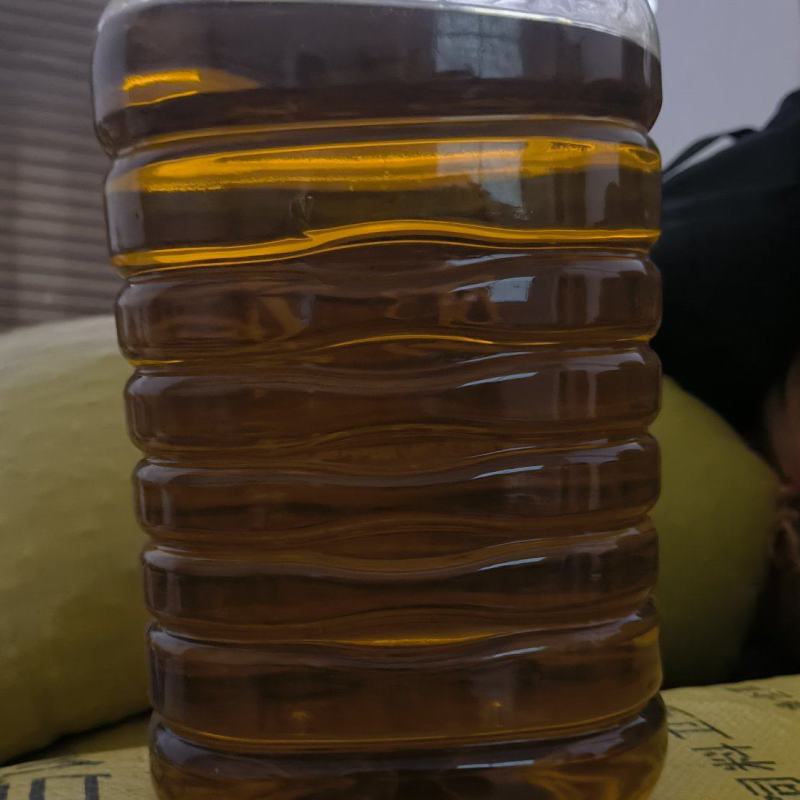 野生小籽山茶油