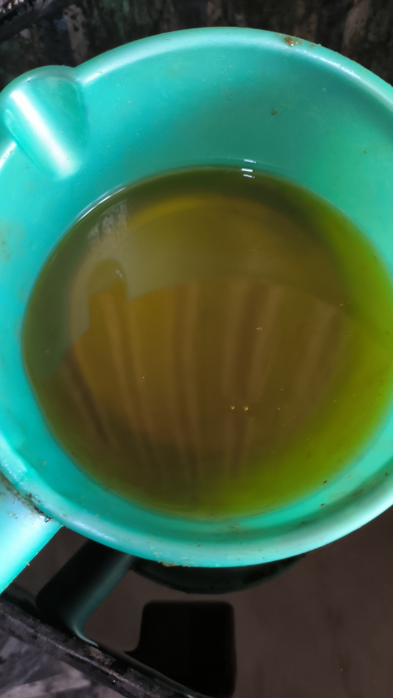 野生小籽山茶油