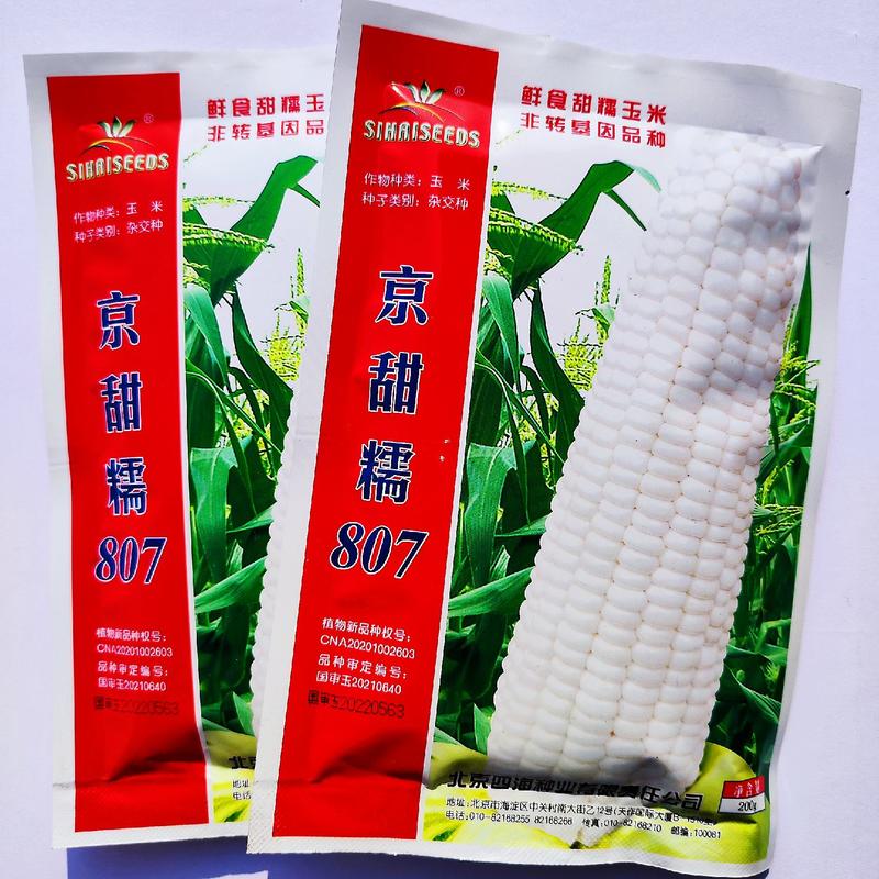 北京四海京甜糯807玉米种子白甜糯杂交大棒型粘玉米籽穗大