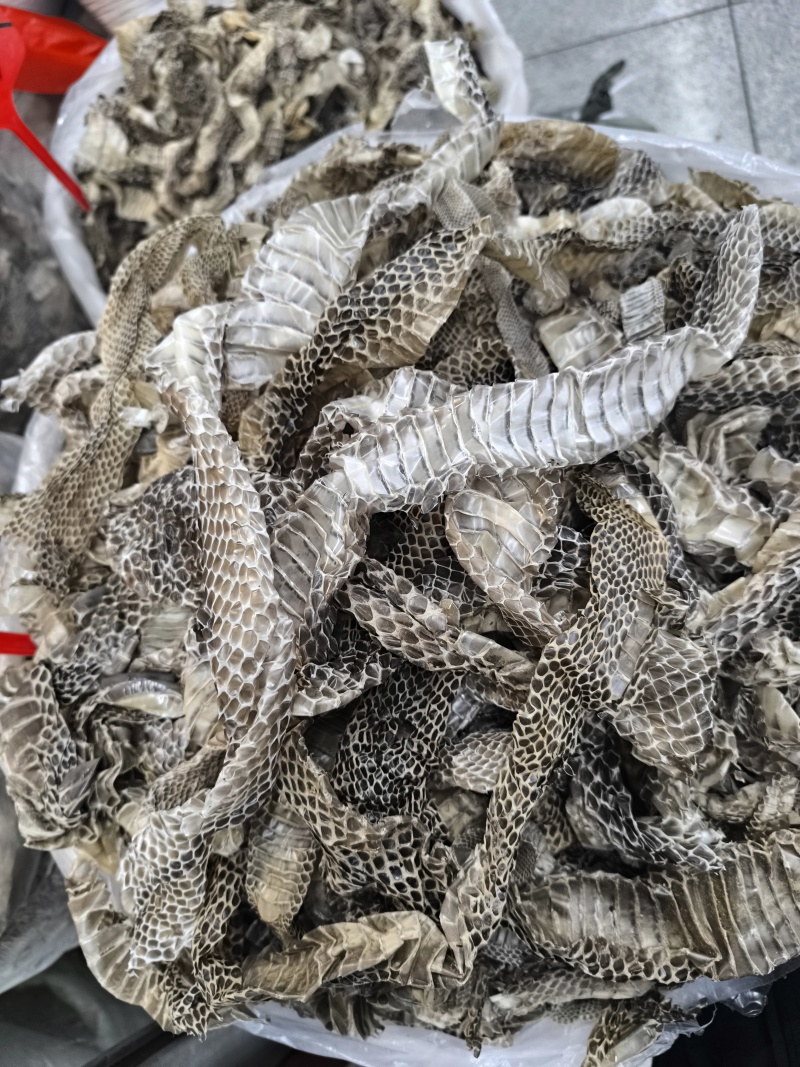 蛇蜕龙衣蛇皮长虫皮蛇壳现货批发闪电发货