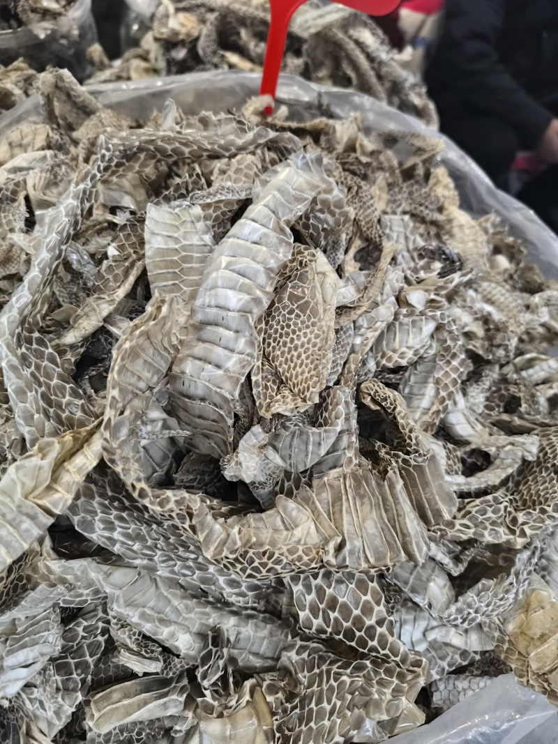 蛇蜕龙衣蛇皮长虫皮蛇壳现货批发闪电发货