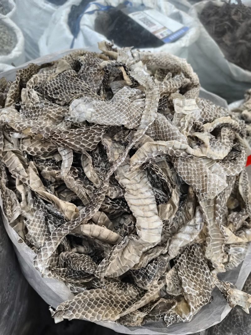 蛇蜕龙衣蛇皮长虫皮蛇壳现货批发闪电发货