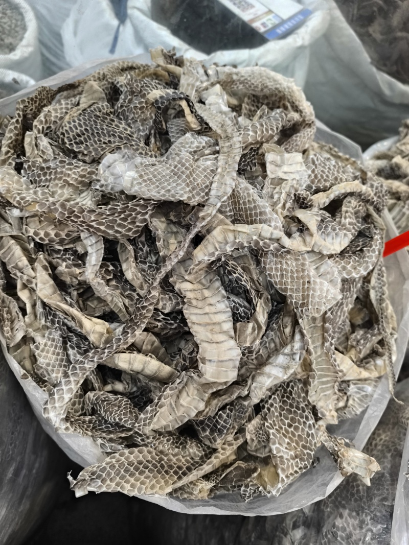 蛇蜕龙衣蛇皮长虫皮蛇壳现货批发闪电发货