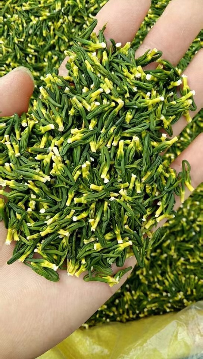 江西抚州莲子芯-量大从优-价格优惠-品质保证-诚信经营