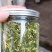 江西抚州莲子芯-量大从优-价格优惠-品质保证-诚信经营