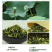 【精选】江西抚州莲子芯-品质保证-诚信经营-价格优惠