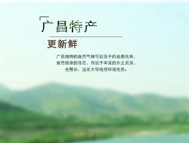 【精选】江西抚州莲子芯-品质保证-诚信经营-价格优惠