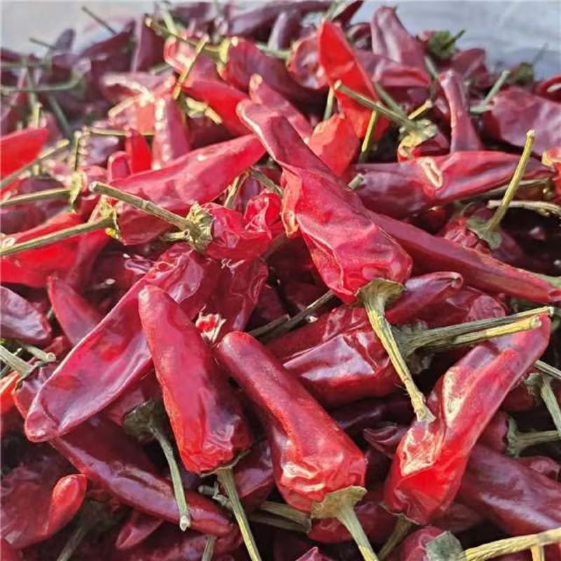 河南精品辣椒王大量供应，产地一手货源，新鲜保质欢迎选购