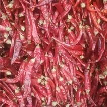 河南干辣椒，高辣精品，产地一手货源，量大从优欢迎选购