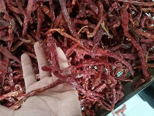 图片说明:二荆条红泡椒植株茂盛,果实细长,颜色由青转红,适合泡制使用 二荆条红泡椒植株与果实特写