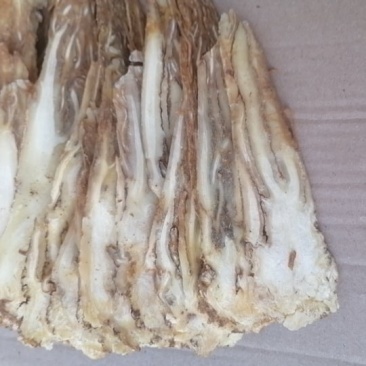 岷归全归佛手片，无腐烂无虫蛀无杂质有需要的客户请联系
