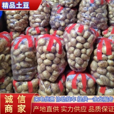 现挖新鲜黄皮黄心土豆荷兰沃土实验希森土豆