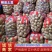 现挖新鲜黄皮黄心土豆荷兰沃土实验希森土豆