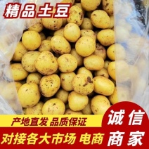 黄皮黄心精品新鲜现挖土豆希森荷兰十五费乌宣暑基地直销量大