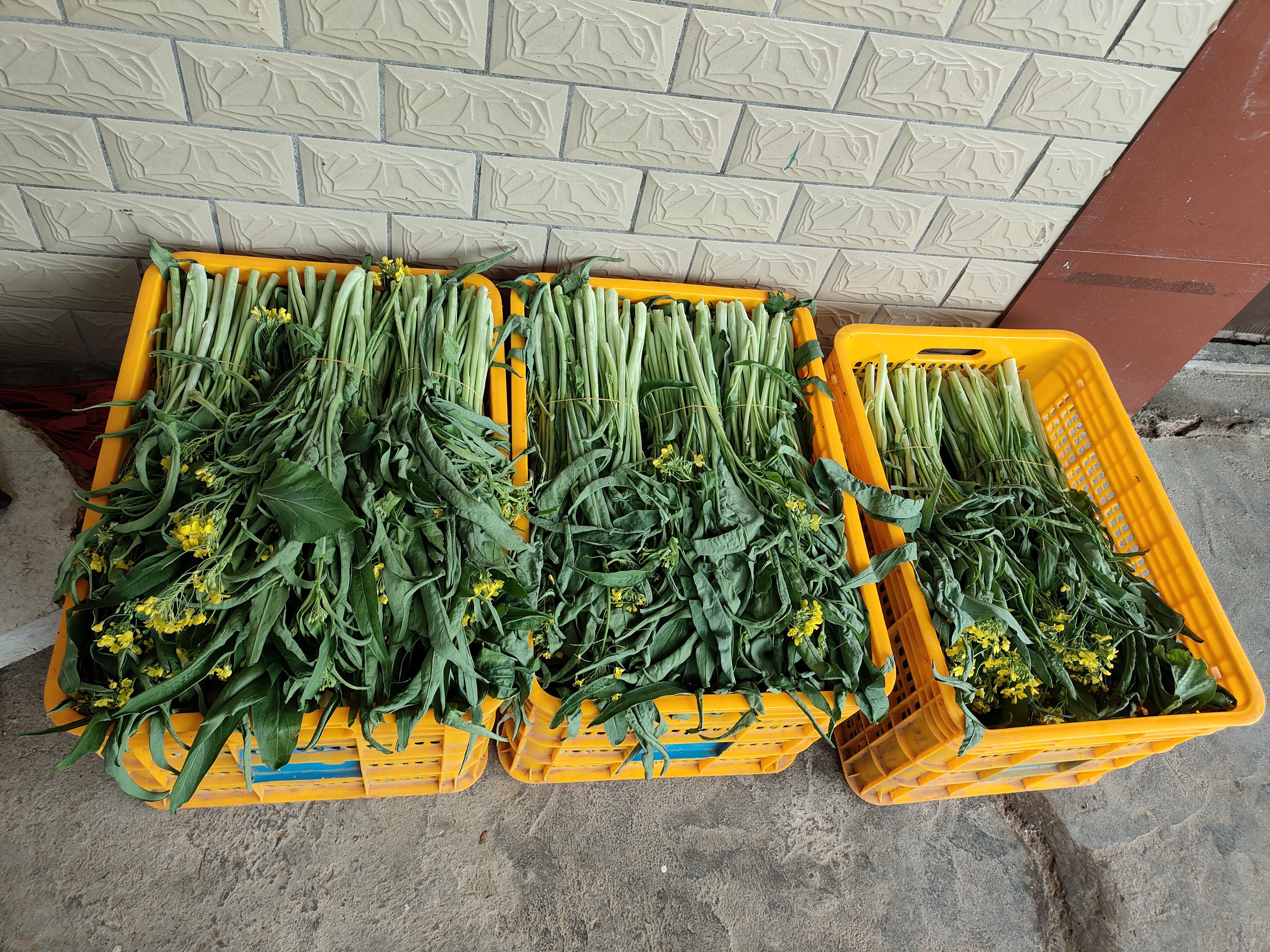 烤箱烤菜花成品:金黄酥脆,香气扑鼻 烤箱烤菜花成品