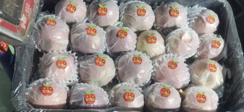 【热销】新疆阿克苏冰糖心苹果现货量大从优欢迎电话