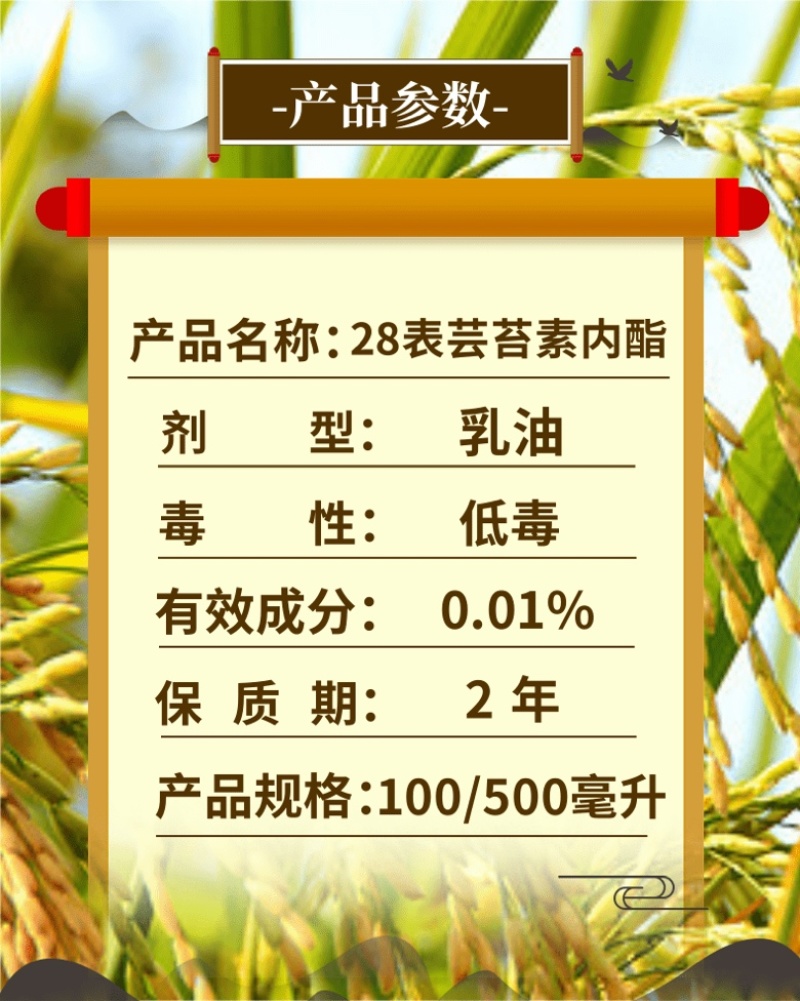 28表芸苔素内酯生长调节剂绿叶提苗促生长0.01%增肥药