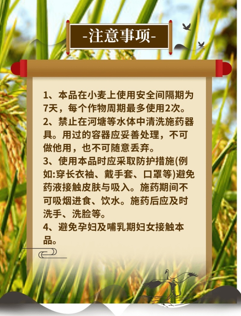 28表芸苔素内酯生长调节剂绿叶提苗促生长0.01%增肥药