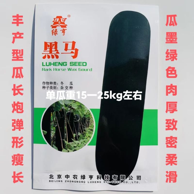 冬瓜种子绿霸黑宝石1号冬瓜种子皮色墨绿肉厚心室小黑皮冬瓜