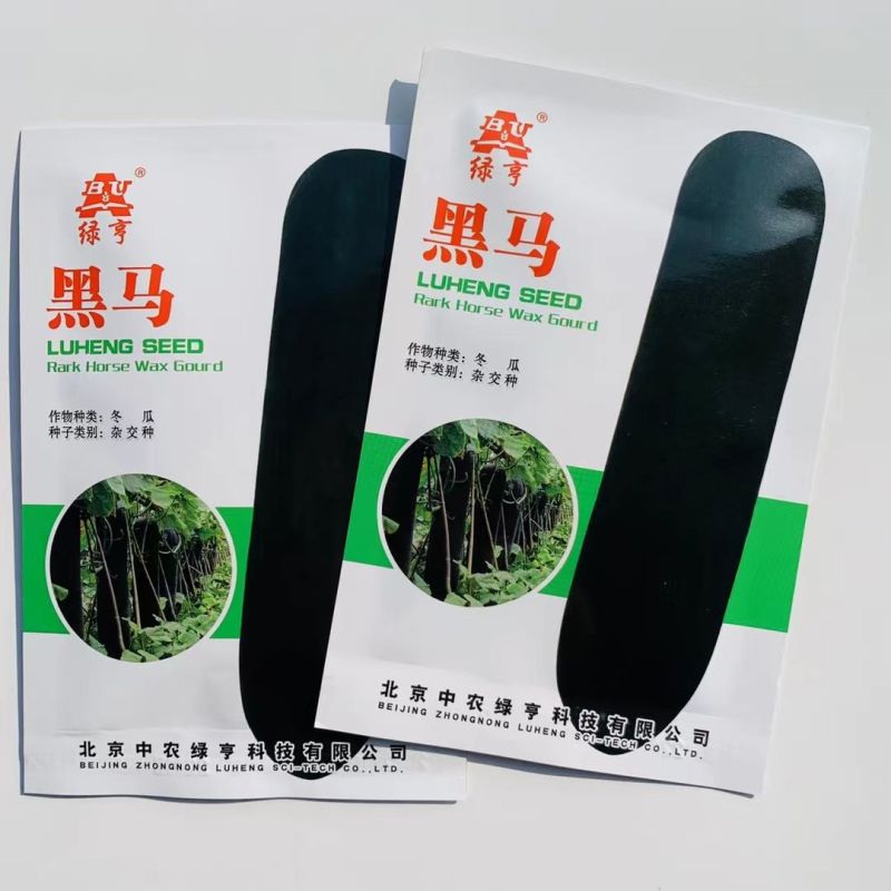 冬瓜种子绿霸黑宝石1号冬瓜种子皮色墨绿肉厚心室小黑皮冬瓜