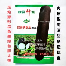 冬瓜种子绿霸铁心王冬瓜种子瓜呈炮弹型墨绿色肉质致密清甜冬