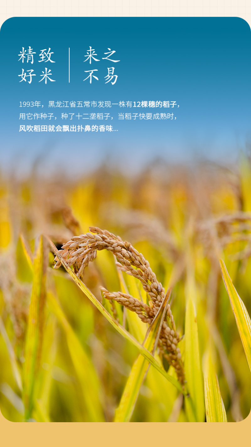 黑龙江五常大米5KG