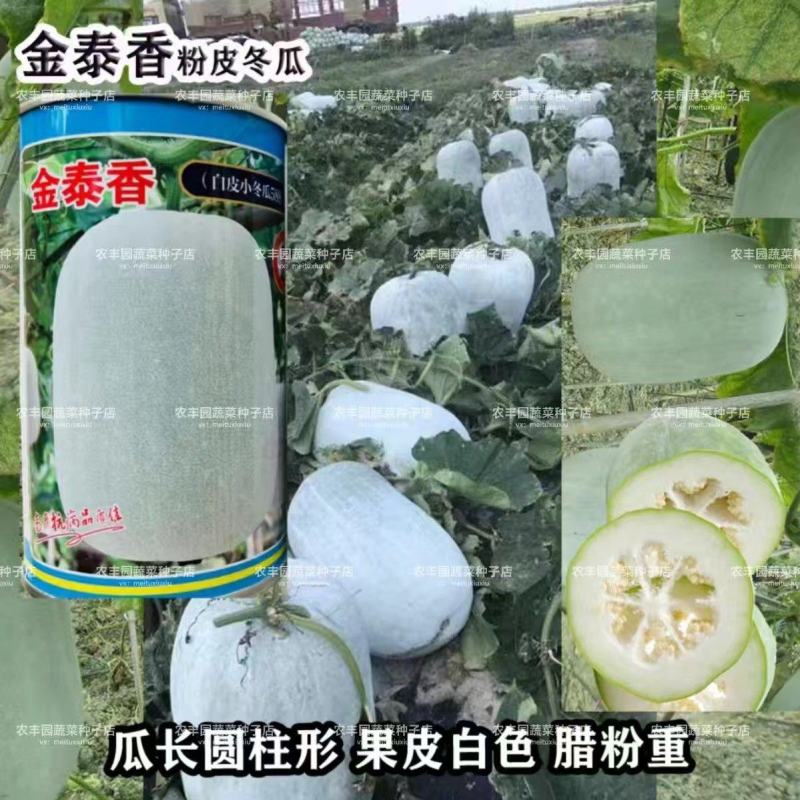 冬瓜种子金泰香白皮小冬瓜中早熟果皮白色高产小冬瓜种子蔬菜