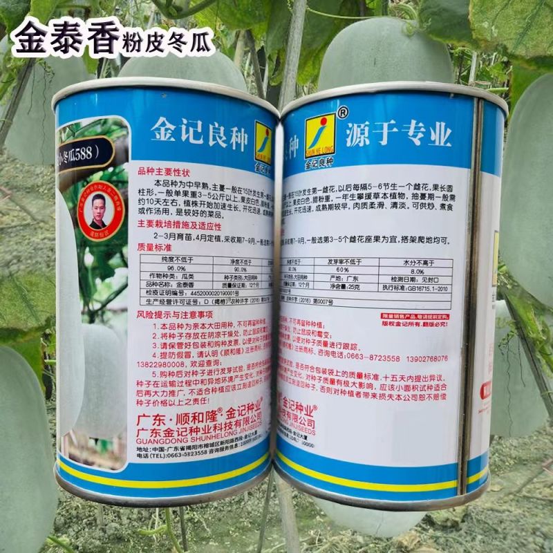 冬瓜种子金泰香白皮小冬瓜中早熟果皮白色高产小冬瓜种子蔬菜