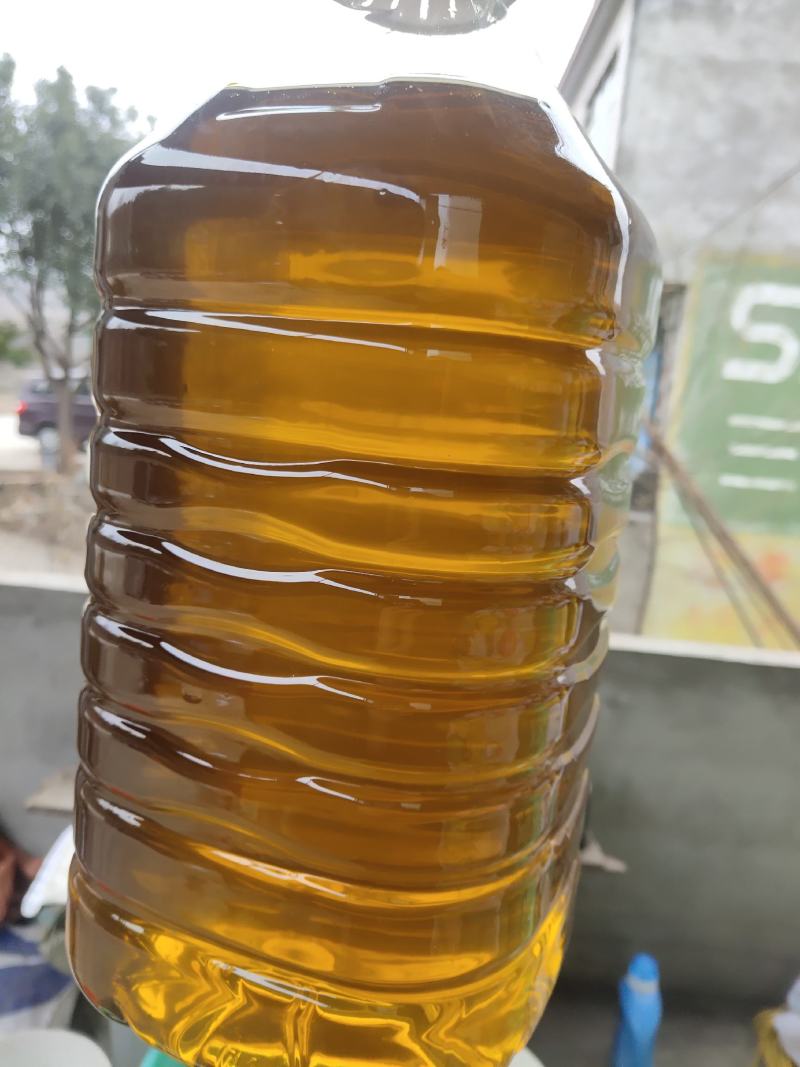 纯野生山茶籽油