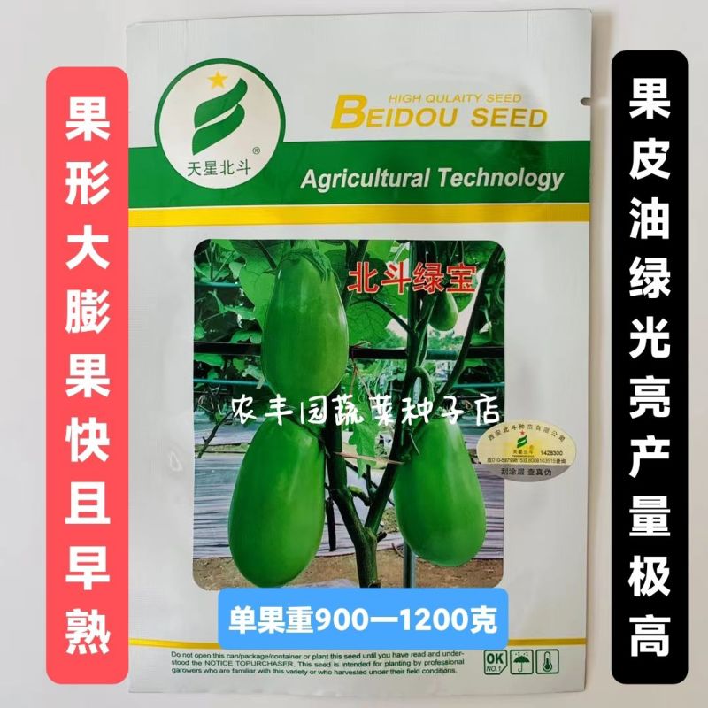 茄子种子北斗绿宝茄子种子果形大果皮油绿光亮高产早熟青茄子