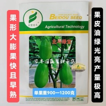 茄子种子北斗绿宝茄子种子果形大果皮油绿光亮高产早熟青茄子