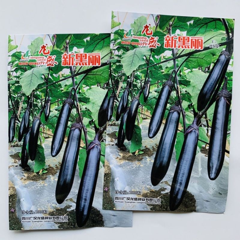 茄子种子新黑丽茄子种子早熟果实长棒形油黑顺直肉质细嫩茄子