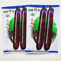 茄子种子绿霸天龙100紫红长茄子种子烧烤茄子春夏秋季播蔬